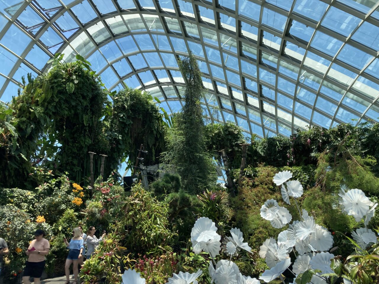 アバターザエクスペリエンス・ガーデンズ・バイ・ザ・ベイシンガポールのアバターの世界